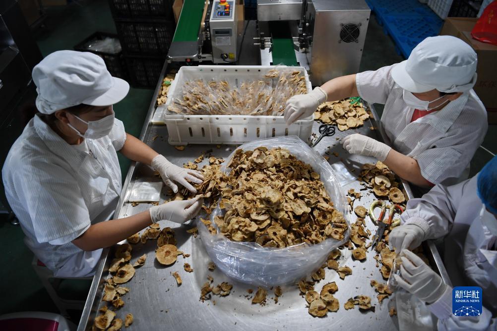 欢乐三张牌下载金花